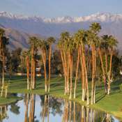 Attend NANN Meeting in Palm Springs for FREE!